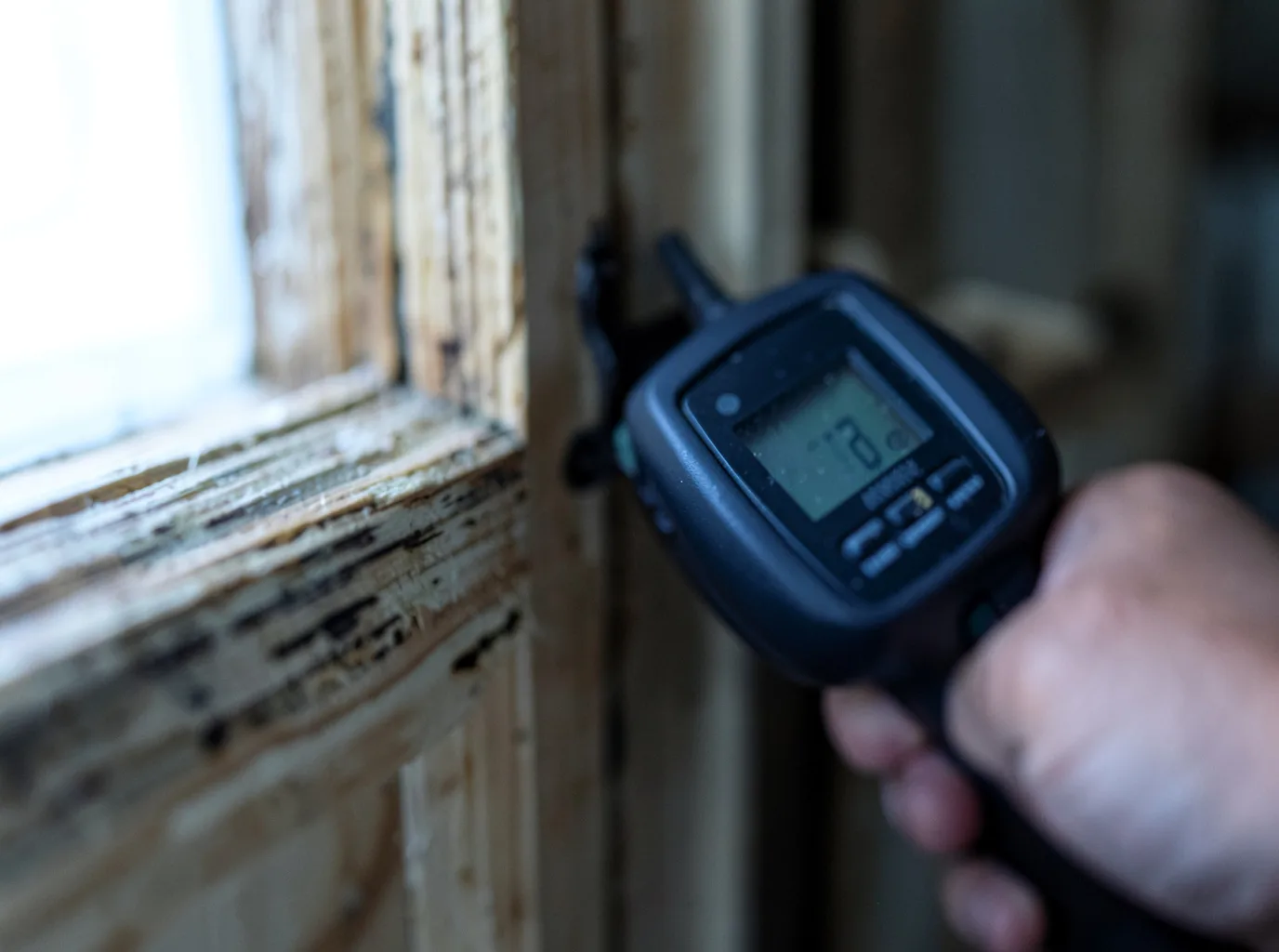 Ceiling Water Damage Repair in Staples, TX